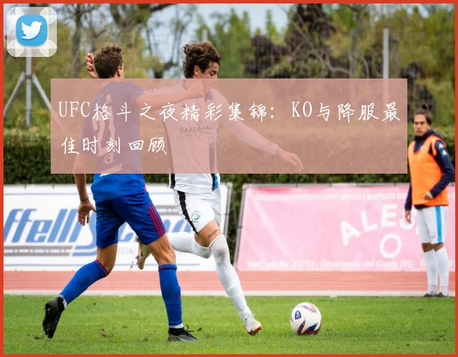 UFC格斗之夜精彩集锦：KO与降服最佳时刻回顾