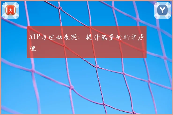 ATP与运动表现:提升能量的科学原理