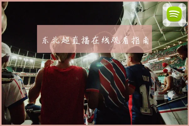东北超直播在线观看指南
