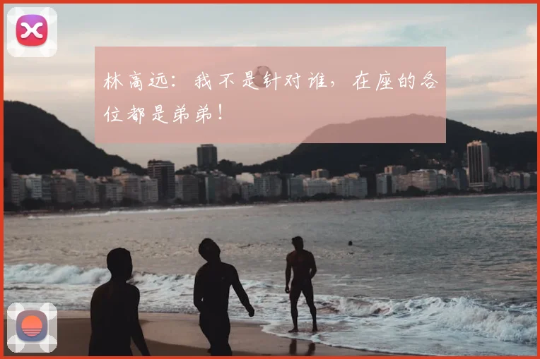 林高远：我不是针对谁，在座的各位都是弟弟！