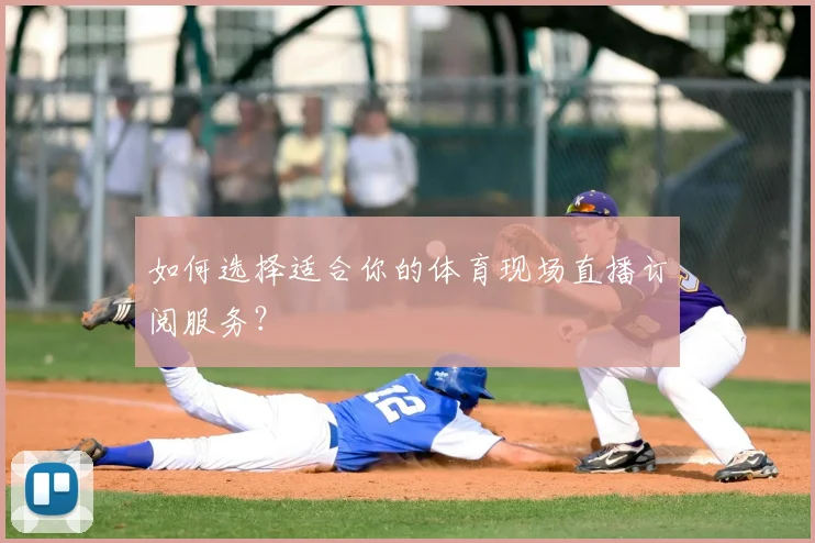 如何选择适合你的体育现场直播订阅服务？