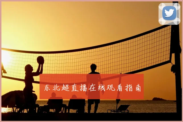 东北超直播在线观看指南