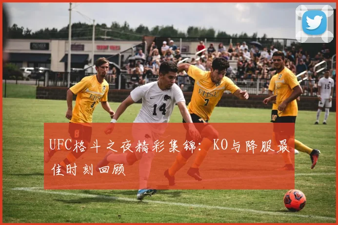 UFC格斗之夜精彩集锦:KO与降服最佳时刻回顾